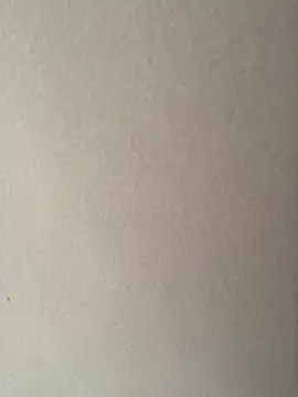 Snapshot of CandyCol chatting on November 2025 12:16:02 PM CandyCol online show from November 2025 12:16:02 PM