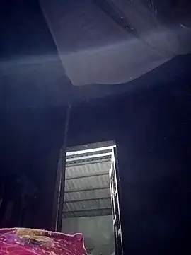 mon1-day online show from November 2025 11:32:02 AM