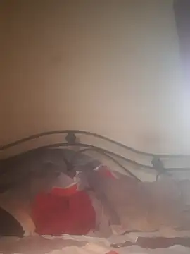 Shivona online show from November 2025 03:53:02 AM