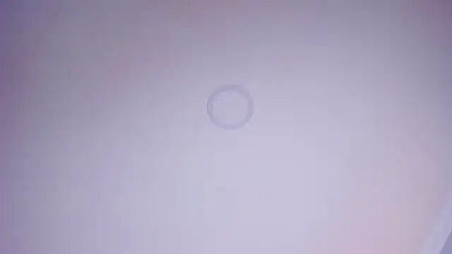 Charlotte Williams 1 online show from November 2025 12:51:01 PM