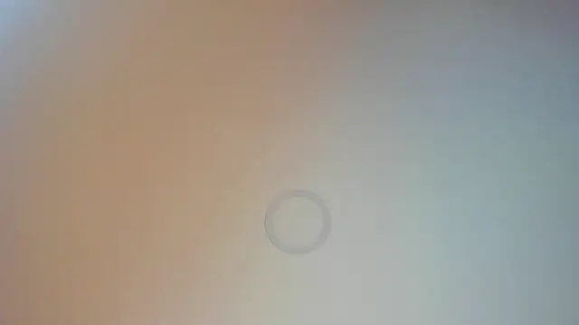 Charlotte Williams 1 online show from November 2025 12:19:02 PM