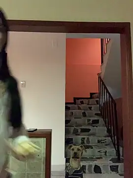 Dannii- online show from April 2026 10:47:02 PM