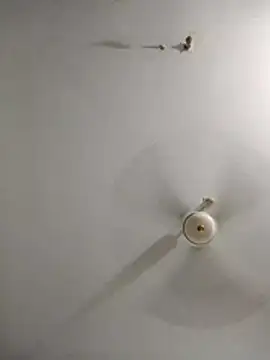 rupamim online show from March 2026 09:09:02 PM