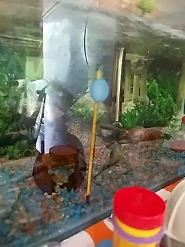 reynaafro93 online show from November 2025 03:05:02 PM