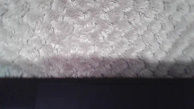 Snapshot of Pineapple chatting on November 2025 05:17:02 PM Pineapple online show from November 2025 05:17:02 PM