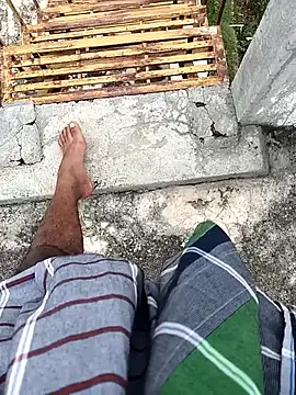 tamilbbc1 online show from November 2025 05:32:02 AM