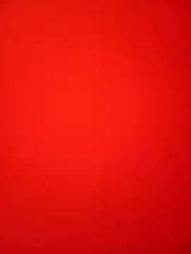 Bold Quinn online show from February 2026 03:07:01 PM