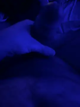 darknebula80 online show from February 2026 11:56:01 PM