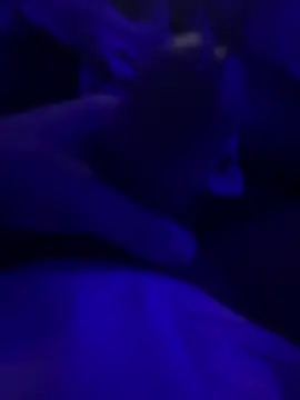 darknebula80 online show from February 2026 12:31:01 AM