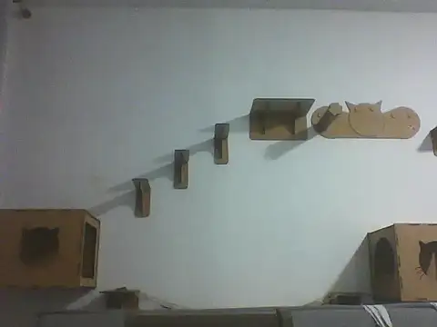 Temp7 online show from February 2026 01:17:01 AM