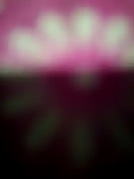 Nandani-758 online show from December 2025 12:17:01 AM