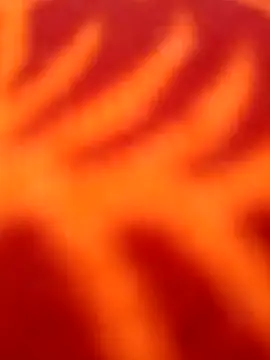 Nandani-758 online show from April 2026 11:21:01 AM