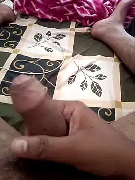 TeluguBoyforyou1 online show from November 2025 04:13:02 AM