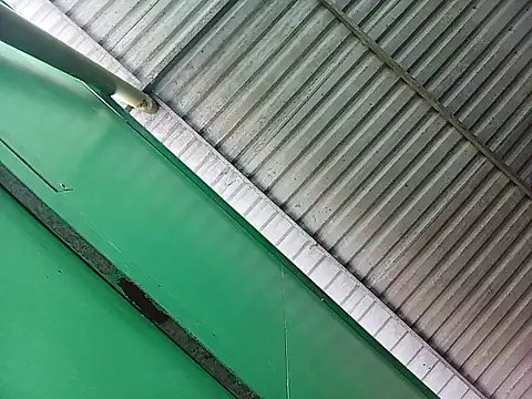 Lin-kute98 online show from April 2026 12:55:02 AM