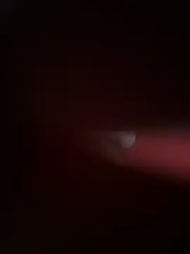 PartiedOmelet online show from November 2025 07:24:02 PM