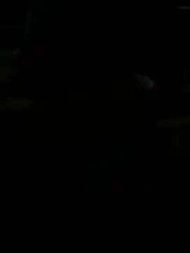 BigDick-A-Money online show from April 2026 07:30:02 PM