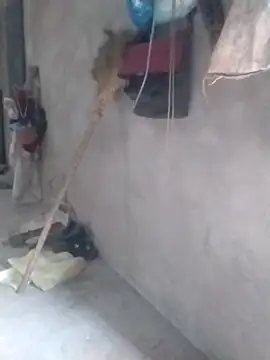 tieutam122 online show from March 2026 10:33:01 AM