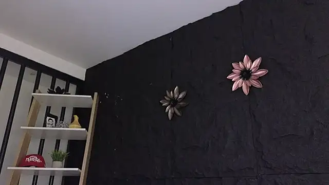 Paulo 527 online show from January 2026 09:06:02 PM