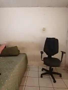 theyllorwillian online show from February 2026 01:11:01 PM