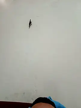 big16cmx online show from November 2025 05:58:02 PM