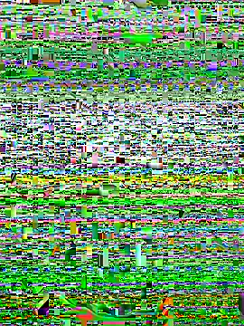 alexzzzzzppp online show from November 2025 03:47:01 PM