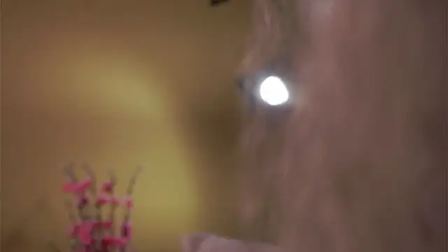 AunclreaVache online show from March 2026 12:56:02 PM