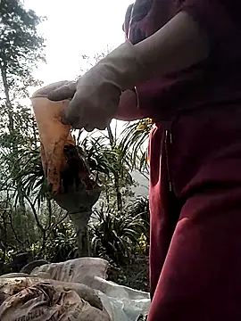 Alibabapi online show from March 2026 09:55:02 AM