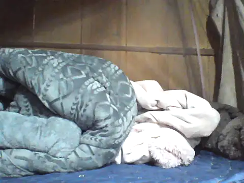 Alibabapi online show from April 2026 07:30:01 AM