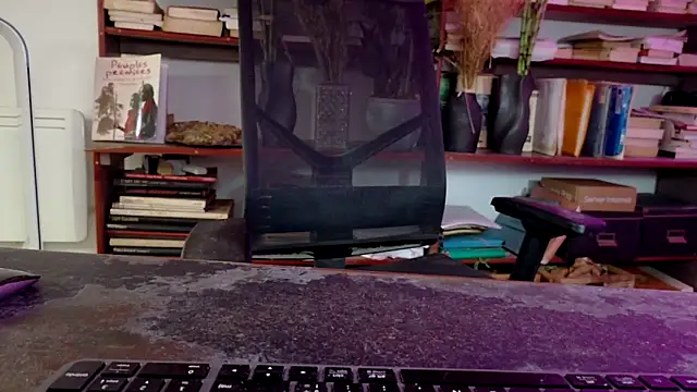 Snapshot of diogene11 chatting on November 2025 08:50:02 AM diogene11 online show from November 2025 08:50:02 AM