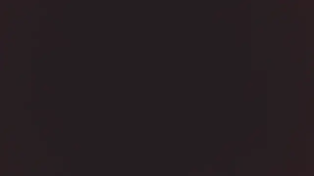 Bellamorgann online show from December 2025 11:00:02 PM