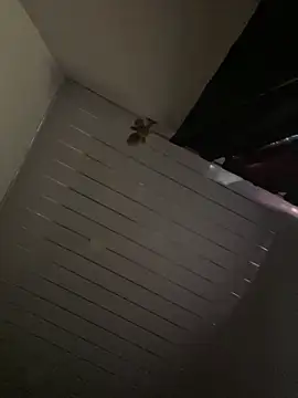 Carameloswing1 online show from March 2026 10:14:02 PM