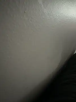 Snapshot of WopBig4o85 chatting on March 2026 02:34:01 PM WopBig4o85 online show from March 2026 02:34:01 PM