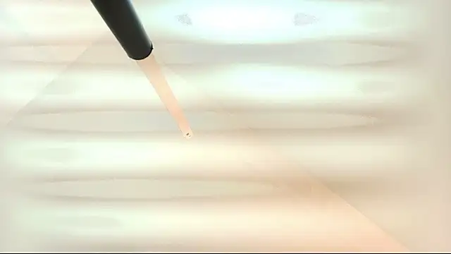 tamara walter online show from March 2026 01:40:02 PM