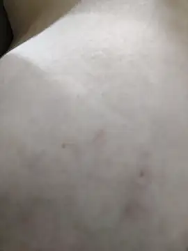 palomitka online show from February 2026 05:45:01 AM