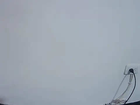 Fernanda andrew online show from February 2026 04:49:01 PM