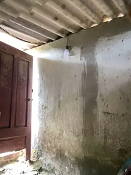 Samsam-006 online show from January 2026 05:56:01 AM