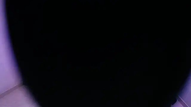Snapshot of Sofia_tgn chatting on June 2026 06:41:01 PM Sofia tgn online show from June 2026 06:41:01 PM