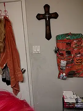 Snapshot of SpiderRose chatting on February 2026 06:07:01 AM SpiderRose online show from February 2026 06:07:01 AM