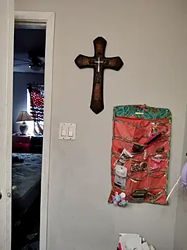 Snapshot of SpiderRose chatting on February 2026 05:20:01 PM SpiderRose online show from February 2026 05:20:01 PM