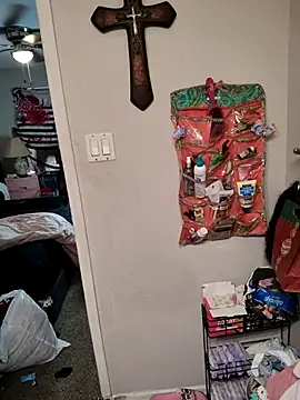 Snapshot of SpiderRose chatting on March 2026 05:18:02 PM SpiderRose online show from March 2026 05:18:02 PM