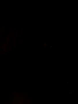 nehakapoor89 online show from December 2025 07:40:02 PM