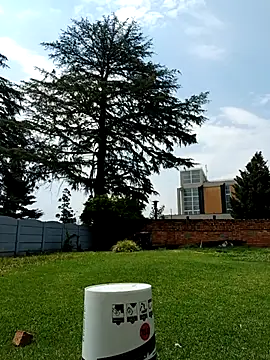 PetiteDoll 06 online show from February 2026 11:55:01 AM