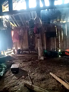 little-effy online show from March 2026 04:27:02 AM