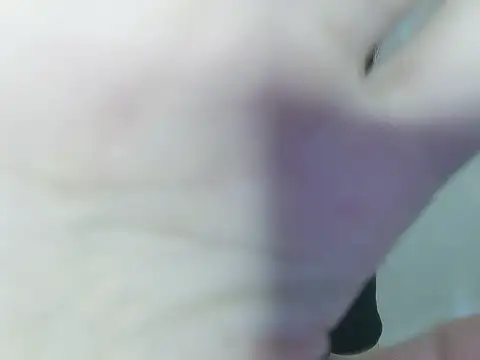 Snapshot of Fish_136 chatting on June 2026 12:30:01 PM Fish 136 online show from June 2026 12:30:01 PM