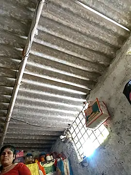 Mahi bigg online show from March 2026 09:44:01 AM