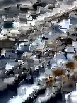 Amaira 69 online show from April 2026 12:21:02 PM