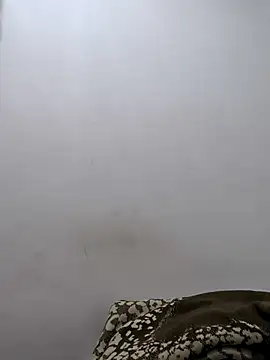 twinkarabboy online show from February 2026 11:29:01 AM