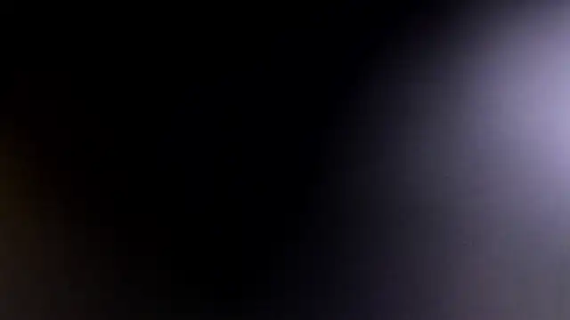 Nico Nocturne online show from January 2026 03:58:01 PM