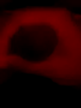 DaveeeIsTheone online show from January 2026 12:14:02 AM