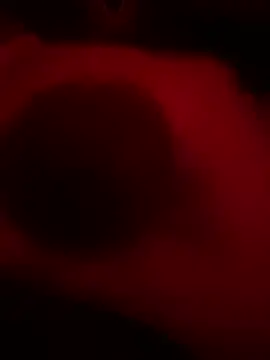 DaveeeIsTheone online show from February 2026 08:02:02 AM